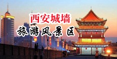 大鸡巴美女网站中国陕西-西安城墙旅游风景区
