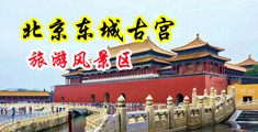 碰碰插插中国北京-东城古宫旅游风景区